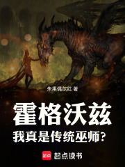 霍格沃兹：我真是传统巫师？